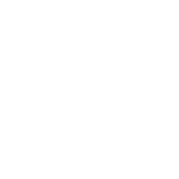 Check Out Date