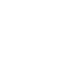 Check In Date