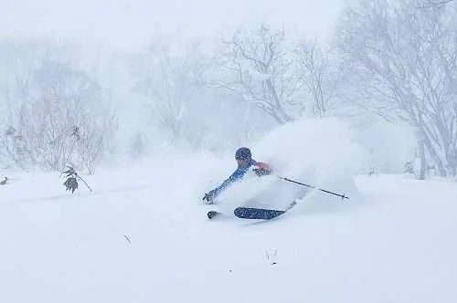 skier in blizzard in niseko hirafu
