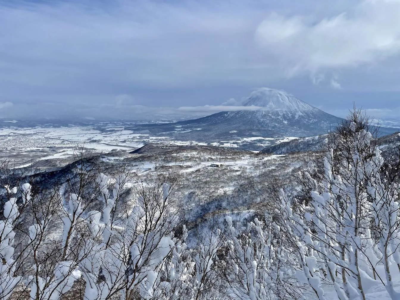 Niseko Powder Report 31st December 2020 | Japan Ski Experience