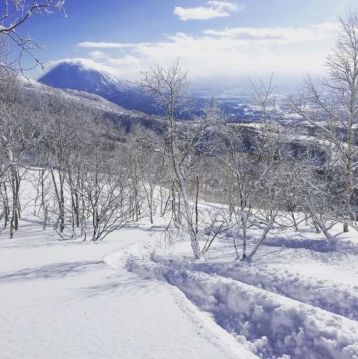 Niseko Backcountry Guide | Japan Ski Experience