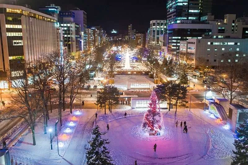 Odori Park Sapporo Snow Festival 2025