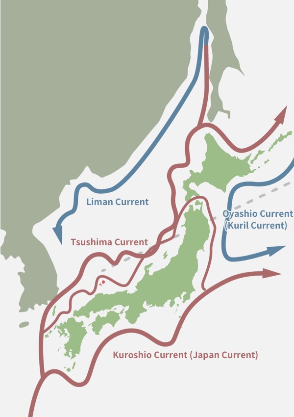 Tsushima Warm Current Affects Snow in Japan