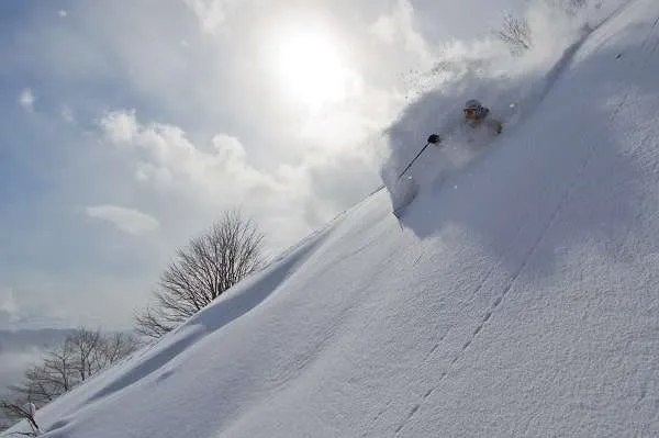 skiing in japan powder snow on a trip to Niseko Japan