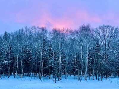 niseko snow report sunset