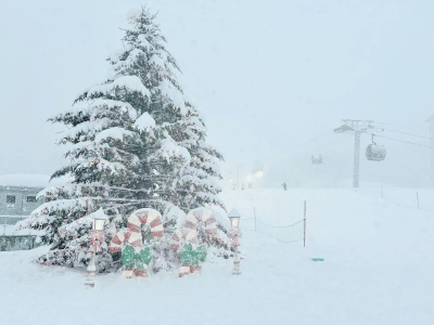 niseko snow report christmas tree