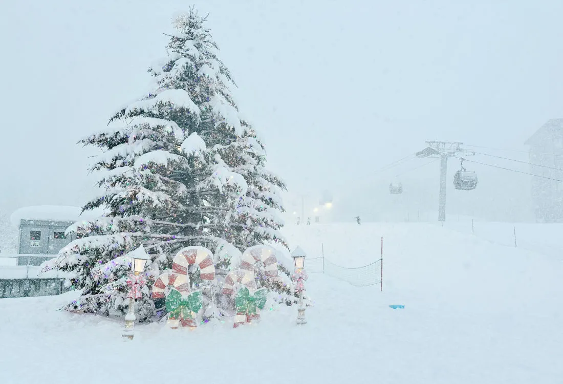 niseko snow report christmas tree