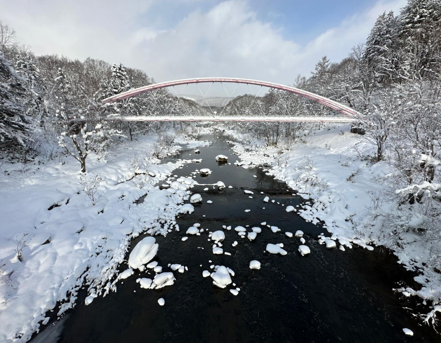 niseko snow report bridge 8 dec