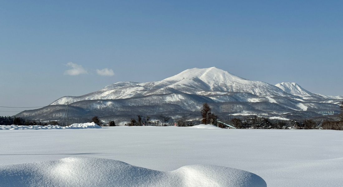 niseko snow report with bluebird views