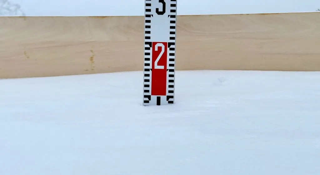 8cm snow
