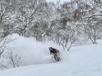 niseko snow report snowboarder in fresh powder