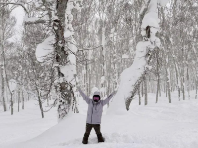 niseko snow report 15 feb powder