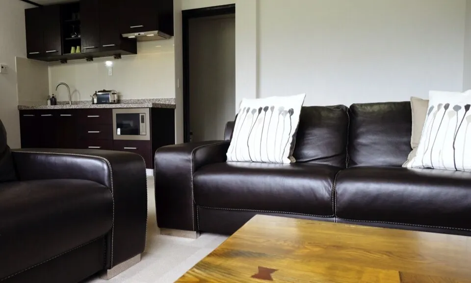 Iwatake Apartments Living 2