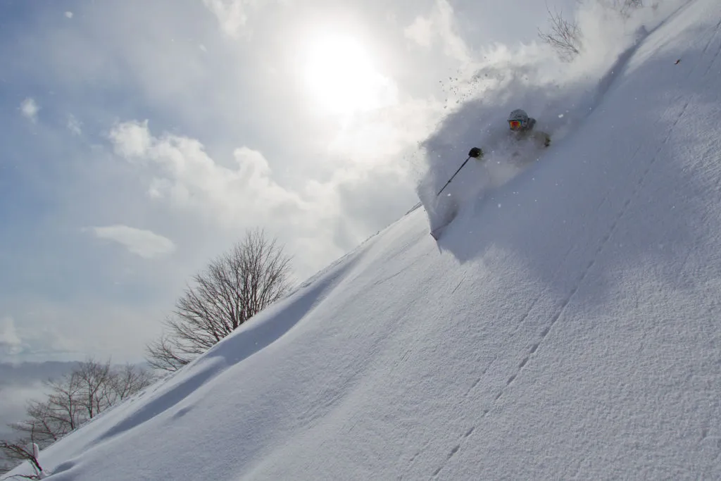 ski terrain at hakuba, nagano ski resort, japan