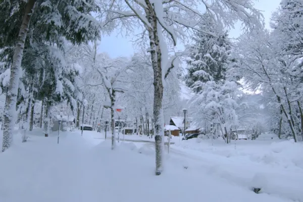 wadano hakuba intersection, snowy base of happo one accommodation