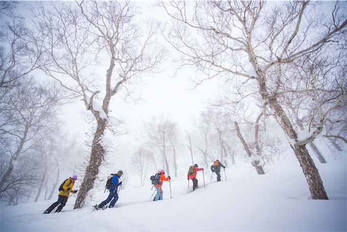 Skiers hiking up a snowy ridge surrounded by snow-covered trees.