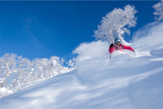 Skier in pink jacket skiing through deep powder, surrounded by snow covered trees.