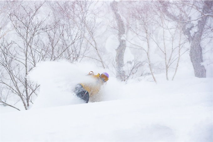 Snowboarder in a yellow jacket carving through deep powder snow in a snowy forest.