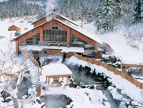 A traditional wooden outdoor onsen bath nestled in a vibrant green forest at Fukiage Onsen.
