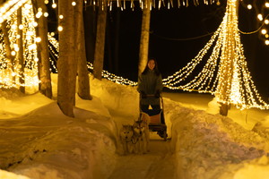A person drives a dog sled through a snowy forest path illuminated by warm golden fairy lights at night.