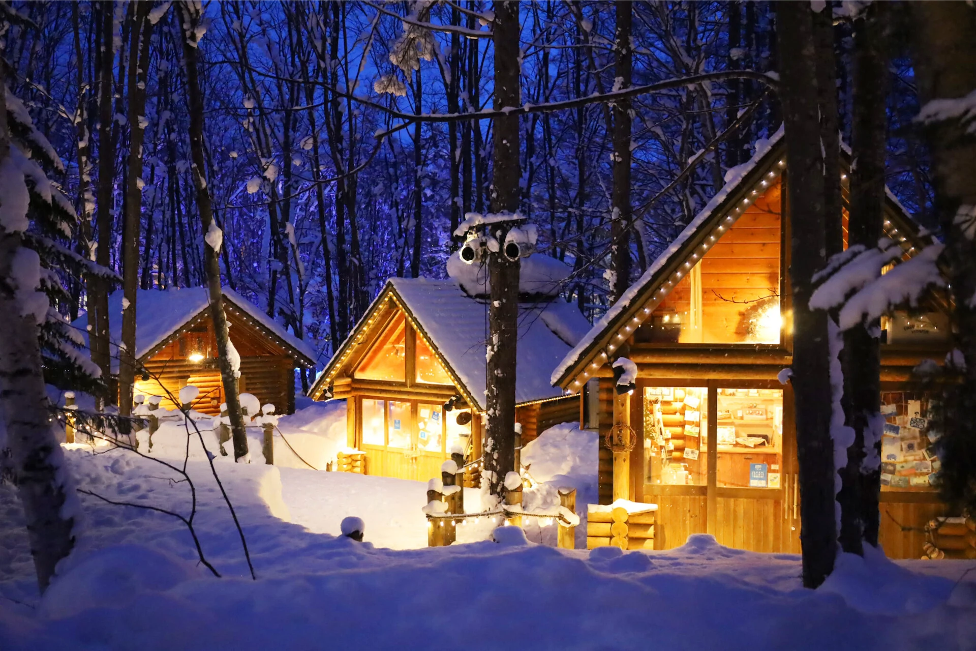 Small wooden cabins glow with warm light in a snowy forest at Ningle Terrace in Furano at night.