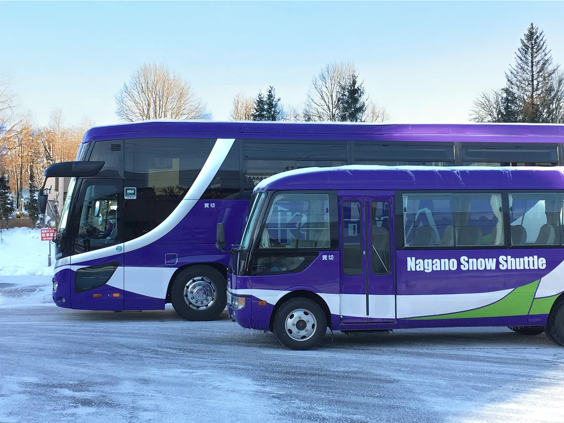 Purple Nagano Snow Shuttle buses parked on a snowy road in Japan.