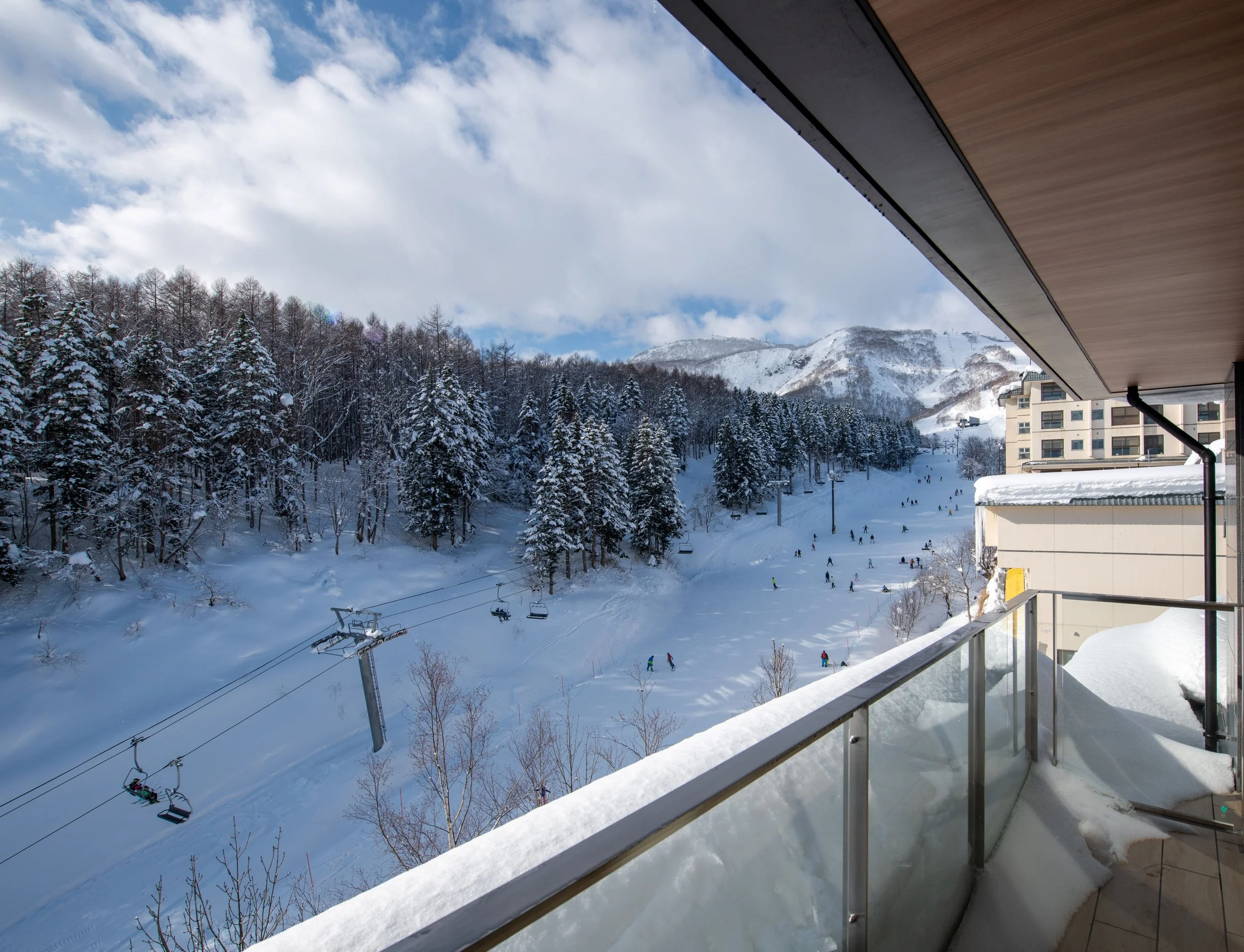 Ski-in/Ski-out Accommodation