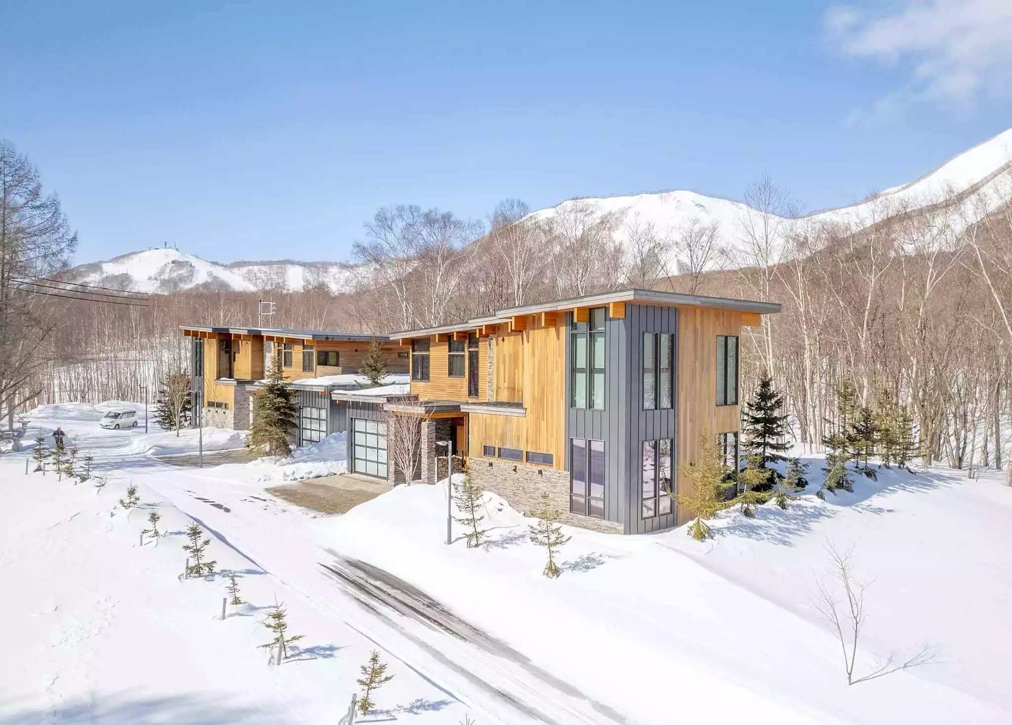 Contemporary multi-story timber chalets with dark metal accents set in a snowy landscape against snow-capped mountains.